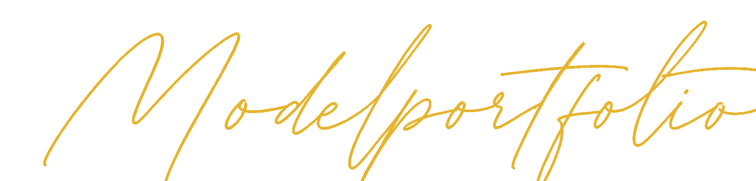 Modelportfolio